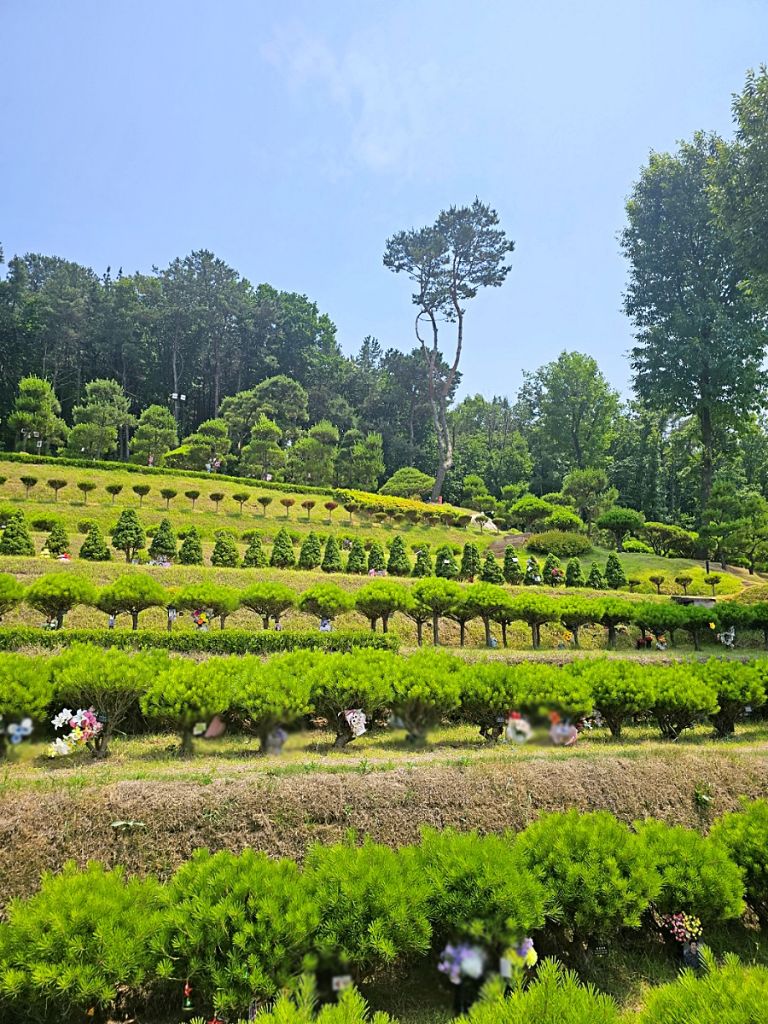 일산수목장 전경