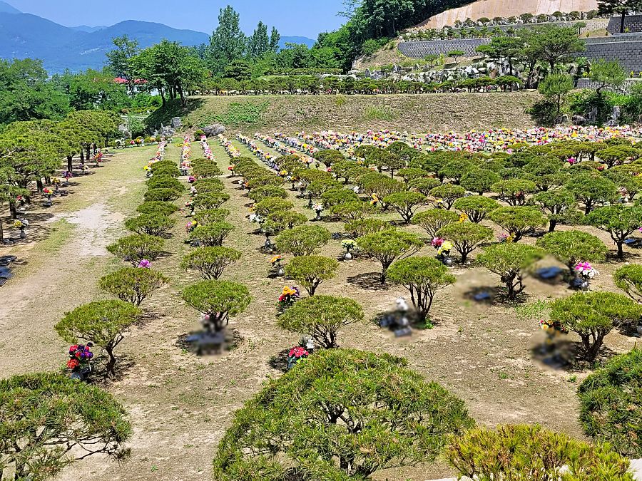 양평수목장 전경