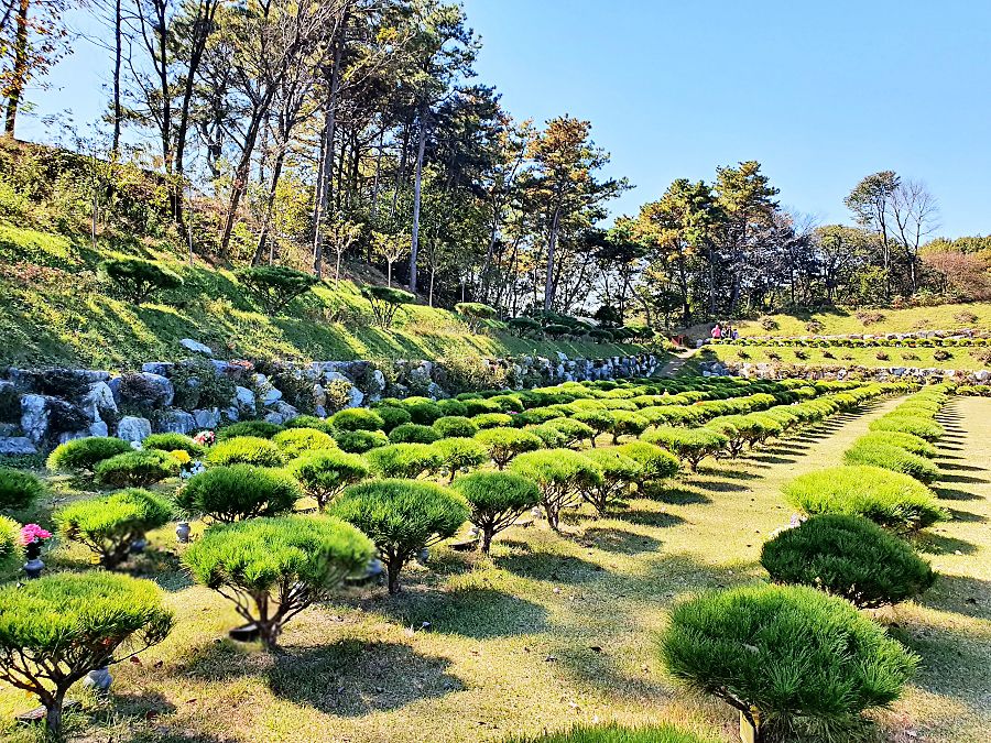 용인수목장 전경